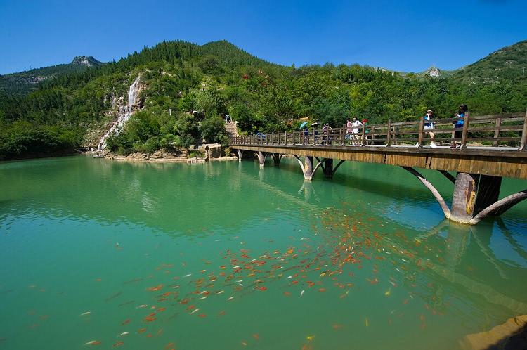 青州黄花溪,青州黄花溪景区介绍