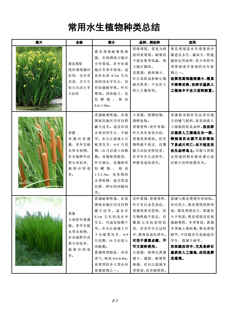 水生植物品种大全,水生植物有哪几种类型