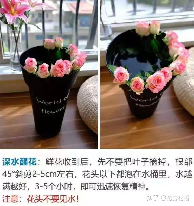 鲜花哪里买便宜,鲜花在哪里买比较好