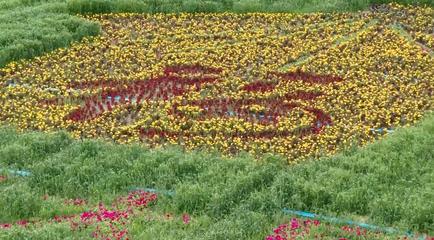 大同花卉批发基地在哪,大同鲜花批发