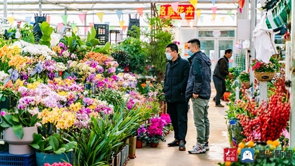 威海花卉大世界,威海花卉大世界电话