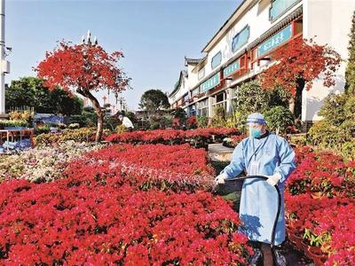 附近卖花草树木的市场在哪里,附近哪有买花树