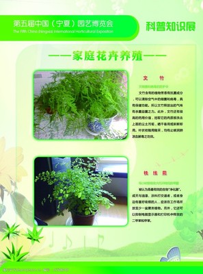 家庭花卉养殖知识大全,家庭花卉种植养护手册