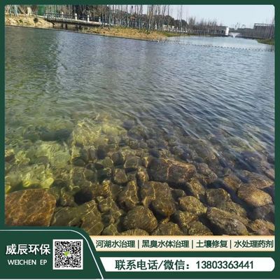 河道水生植物种植,河道水生植物种植条件