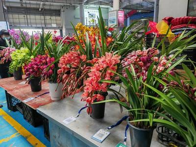 斗南花卉批发流程,斗南花卉市场行情