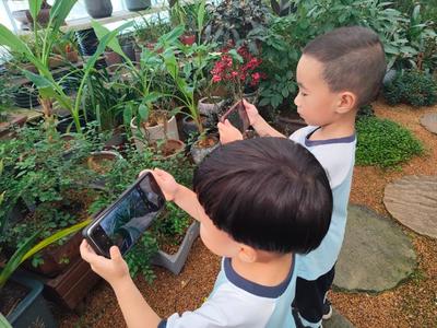 适合小班幼儿种植的植物,适合小班幼儿种植的植物自然角