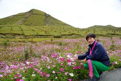 草原上的格桑花图片,草原上的格桑花图片简谱