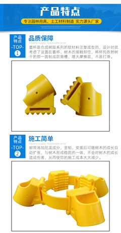 树苗固定支架图片,树苗固定支架图片大全