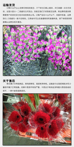 云南昆明斗南鲜花批发市场,云南昆明斗南鲜花批发市场营业时间