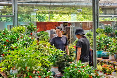 绿植花卉市场批发各种花价,绿植花卉基地