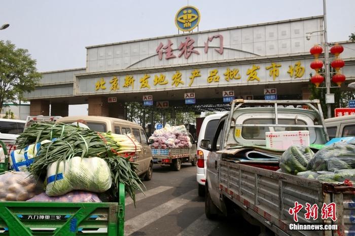 蔬菜市场批发什么最赚钱,蔬菜批发市场是怎么运作