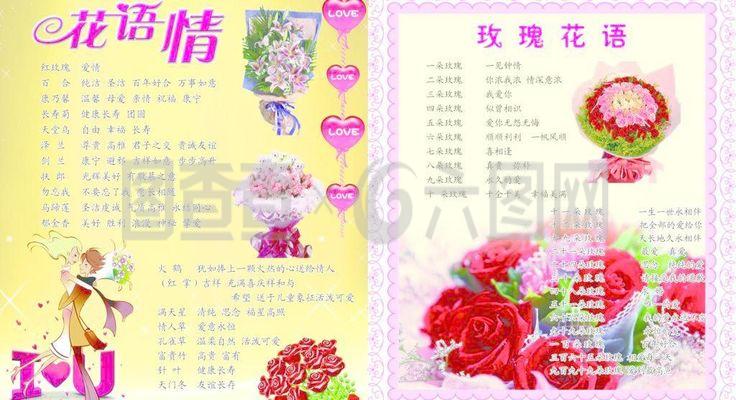 100种鲜花的图片和花语,鲜花的图片和名字