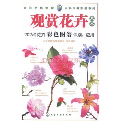 500种常见的花卉图鉴彩图,花卉大全500种图片