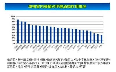 甲醛绿植排名第一,吸甲醛绿植排名第一