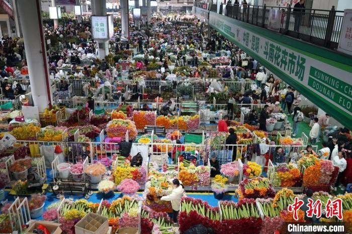 斗南花市具体位置,斗南花市的营业时间