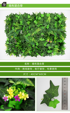 绿植的作用,绿植的作用与功效室内