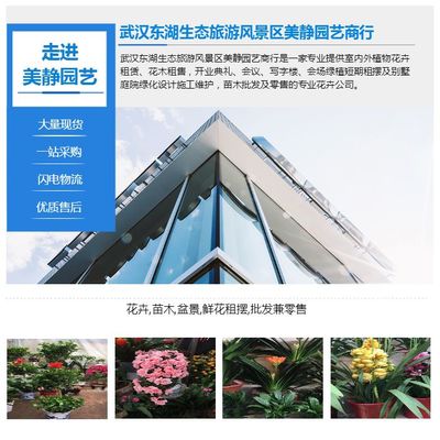 东湖花木批发市场怎么样啊,东湖花卉批发市场