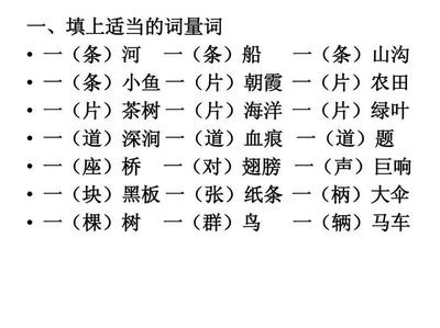 人用什么量词,人用什么量词形容好