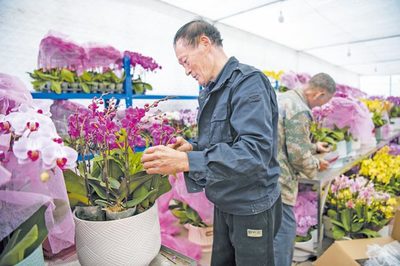 金华花木批发市场位置,金华花木批发市场位置图