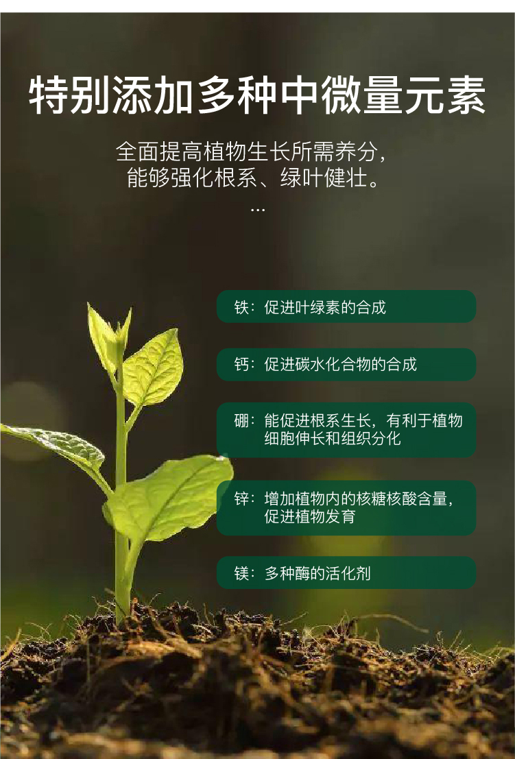 绿叶植物施什么肥最好,绿叶用什么肥料