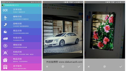 万能植物拍照识别软件,万能拍照识别植物软件破解版