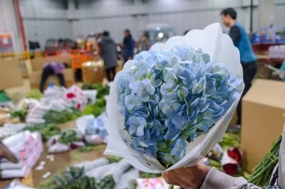 昆明送花服务中心电话,昆明鲜花送货上门