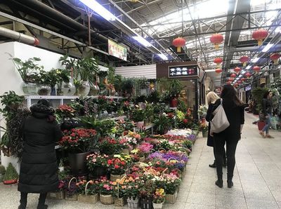 北京花卉市场批发及价格,北京花卉市场排名