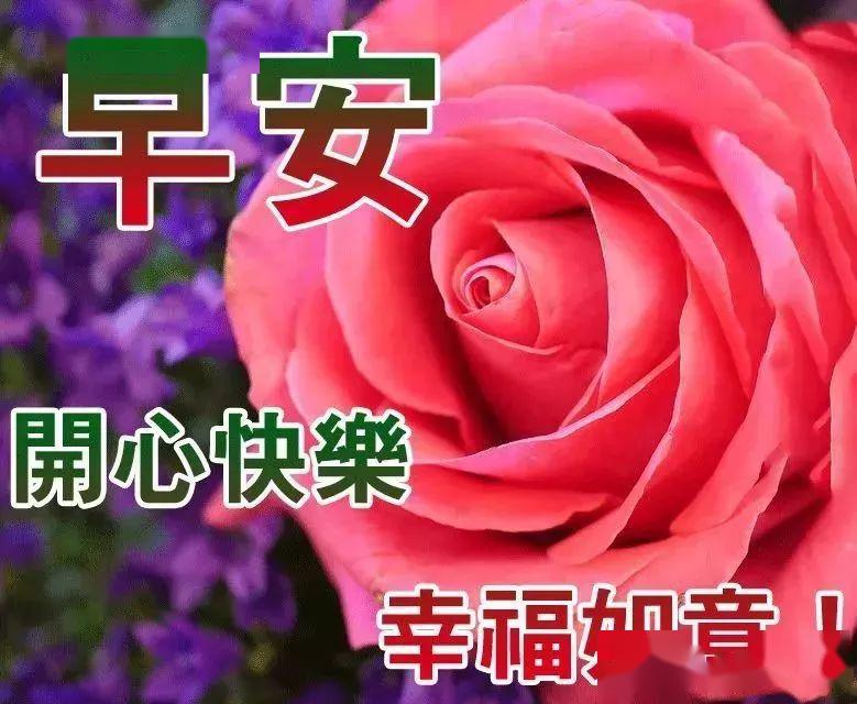 鲜花早安图片唯美图片,鲜花早安图片唯美图片大全