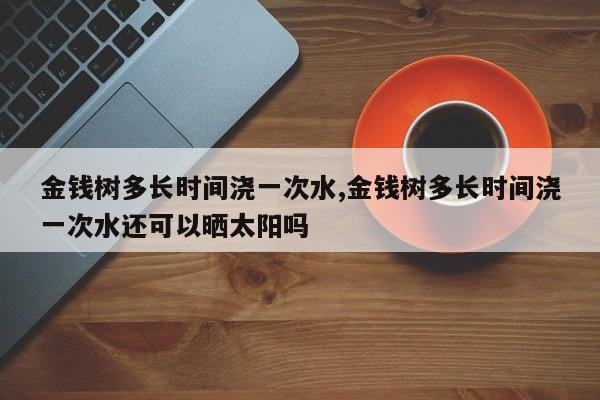 金钱树多长时间浇一次水,金钱树多长时间浇一次水还可以晒太阳吗