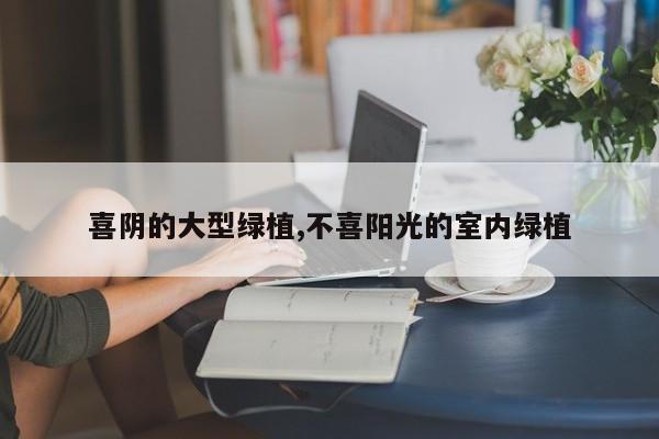 喜阴的大型绿植,不喜阳光的室内绿植