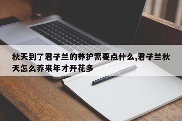 秋天到了君子兰的养护需要点什么,君子兰秋天怎么养来年才开花多