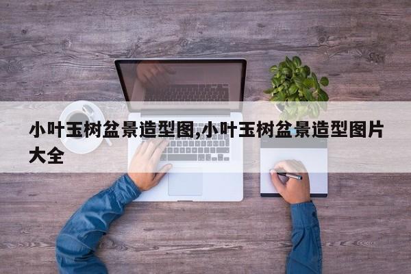 小叶玉树盆景造型图,小叶玉树盆景造型图片大全