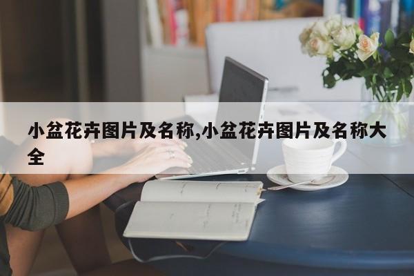 小盆花卉图片及名称,小盆花卉图片及名称大全