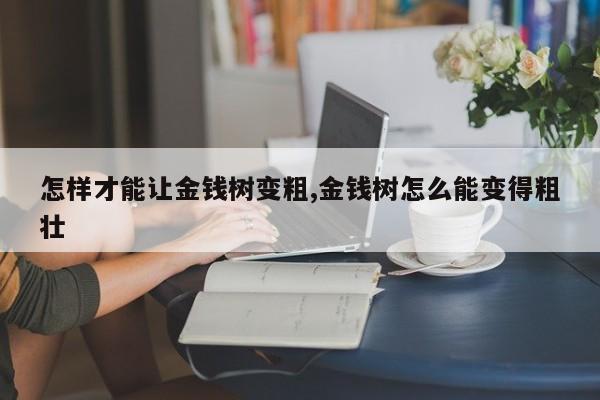 怎样才能让金钱树变粗,金钱树怎么能变得粗壮