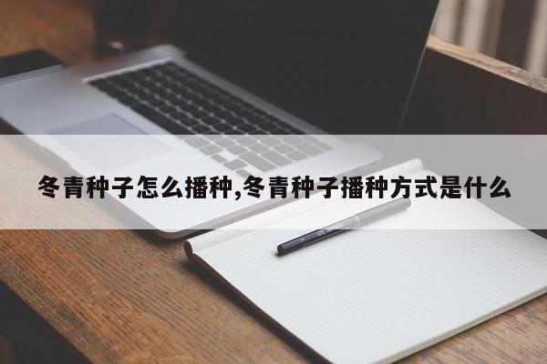 冬青种子怎么播种,冬青种子播种方式是什么