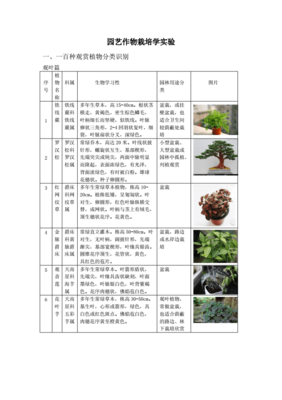 植物图片识别,植物图片识别在线