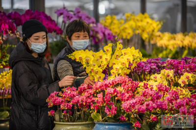 金华批发鲜花市场地址,金华批发花的市场在哪?